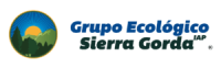 LOGO-GRUPO-COLOR-HORIZONTAL-Registrado-01-300x93